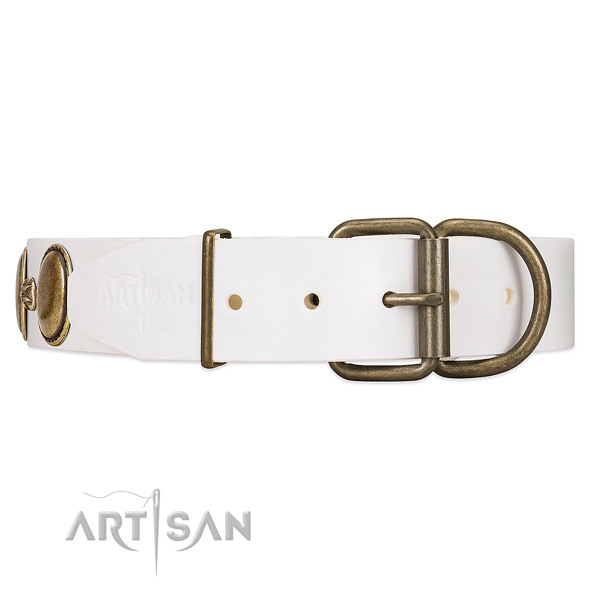 White dog collar with old bronze-like hardware