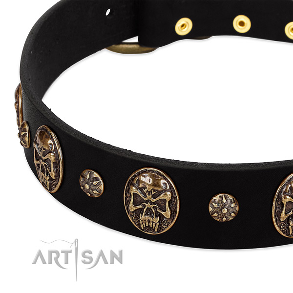 Black dog collar with studs and medallions