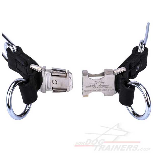 Rings and quick release buckle on dog pinch collar