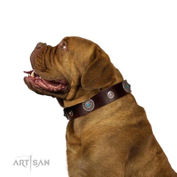 Exquisite design brown leather Dogue de Bordeaux collar