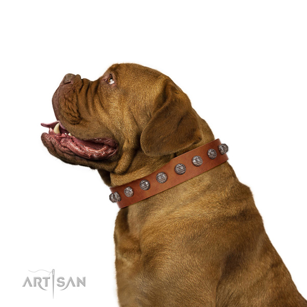 Walking top-notch quality walking leather Dogue de Bordeaux collar