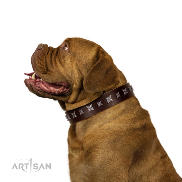 Handcrafted made Genuine Leather Dogue de Bordeaux Collar