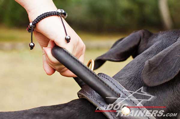 Comfortable hard handle for easy controlling your Doberman