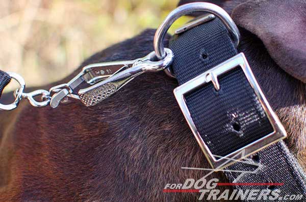 Easy-in-Use Silver-Like Buckle on Nylon Pitbull Collar