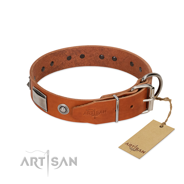 Tan Leather Dog Collar with Riveted Rustles Fittings