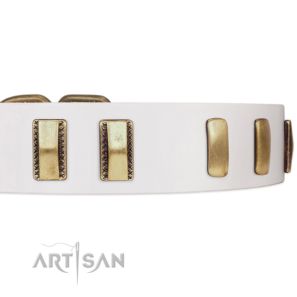 Uniquely adorned with set of plates white dog collar