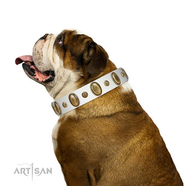 Soft to touch leather English Bulldog collar for walking