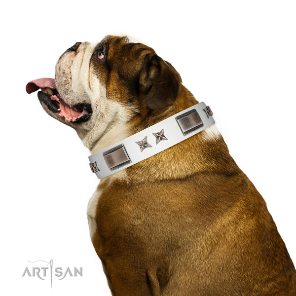 Elegant leather English Bulldog collar for daily use