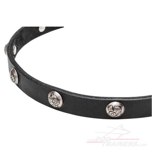 Nickel Plated Decorations on Durable Dog Collar