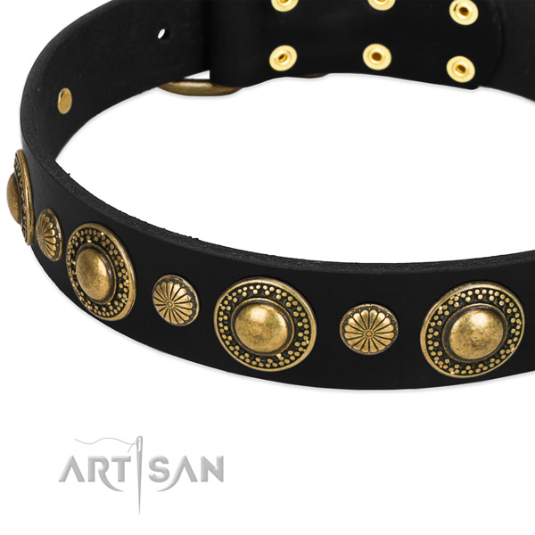 Black stylish leather dog collar with modern decorations
