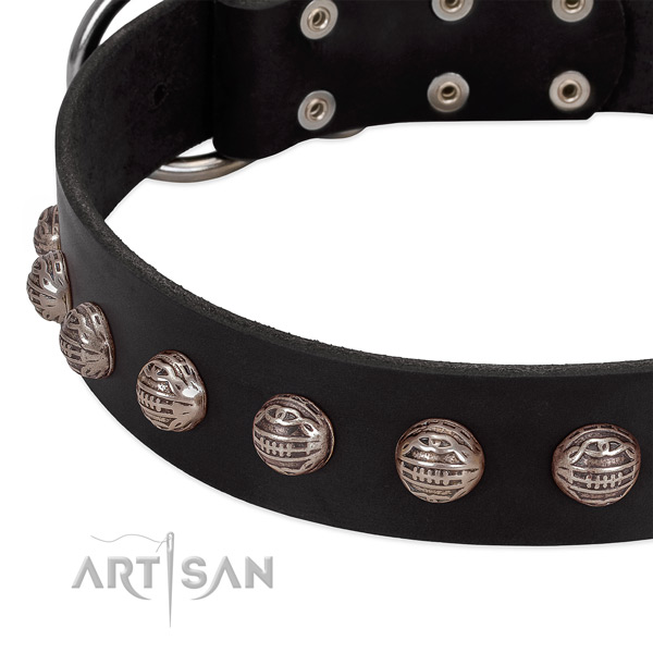 Black stylish leather dog collar with modern decorations