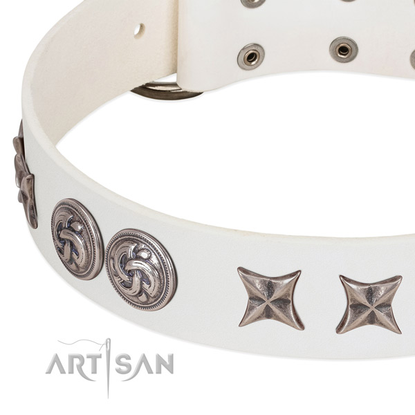 White leather dog collar with stylish decorations