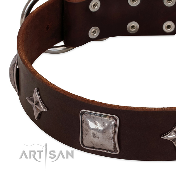 Brown leather dog collar with vintage decorations