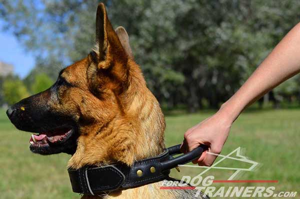 Leather German Shepherd Collar Durable Comfy Handle