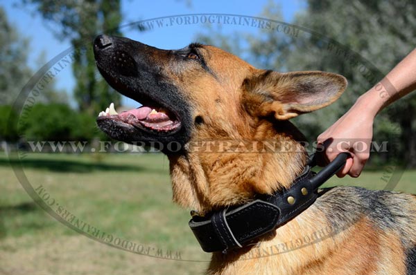 Training Leather German Shepherd Collar Ergonomic Handle