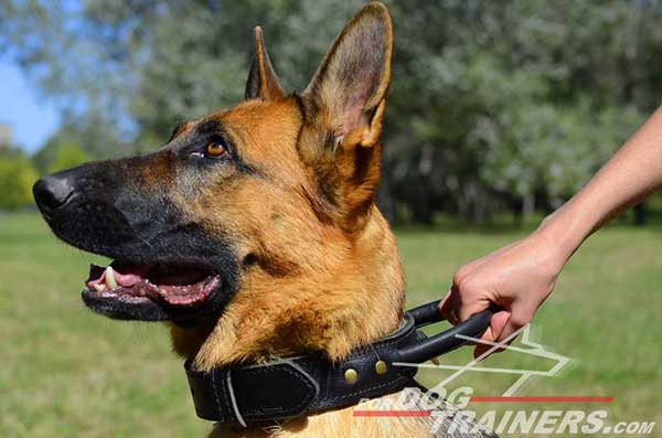 Easy-Control German Shepherd Collar Leather Handle Durable