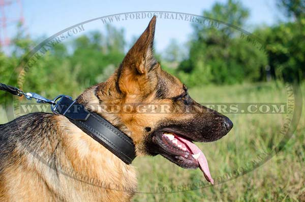 Unique German Shepherd Collar Leather Adjustable