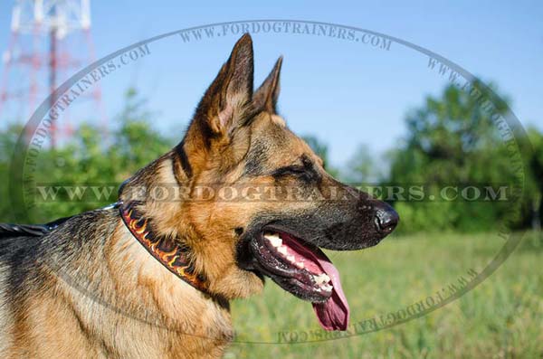 Hand Painted German Shepherd Collar Leather Flames Image