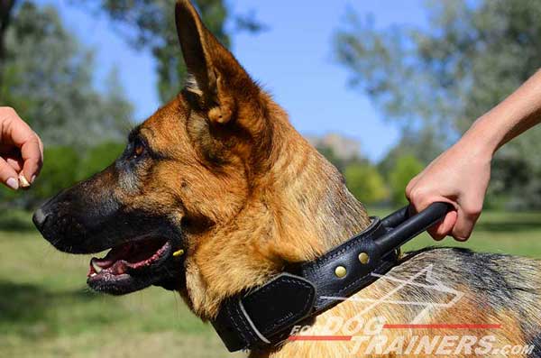 Training German Shepherd Collar Leather Protection