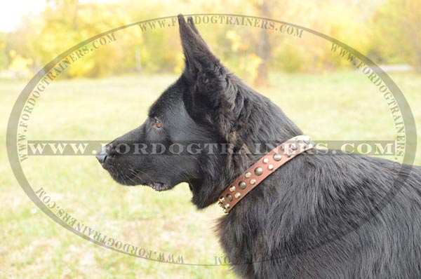 Leather German Shepherd Collar with Pretty Studs