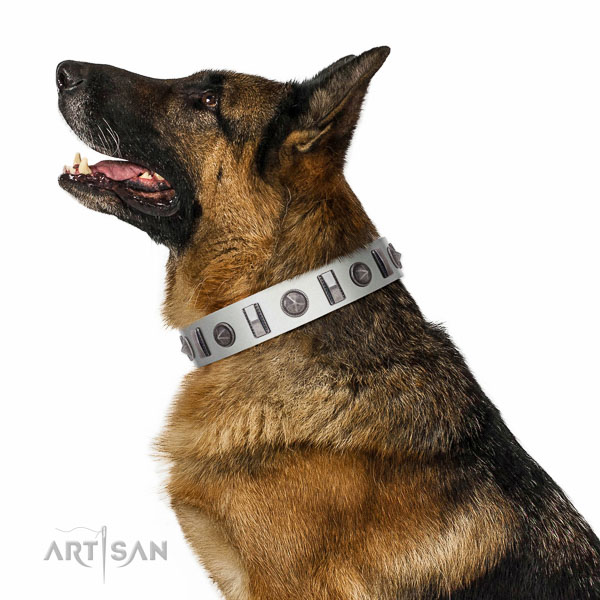 Extraordinary walking white leather German-Shepherd collar with chic decorations