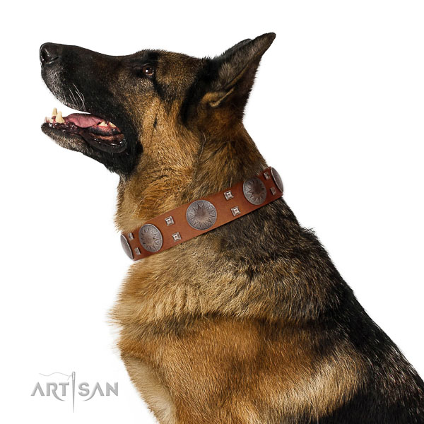 Elegant style tan leather dog collar