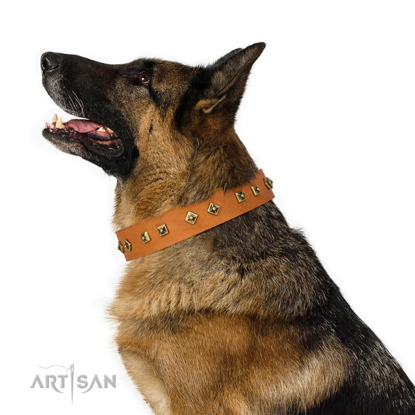 German Shepherd basic training dog collar of top quality genuine leather