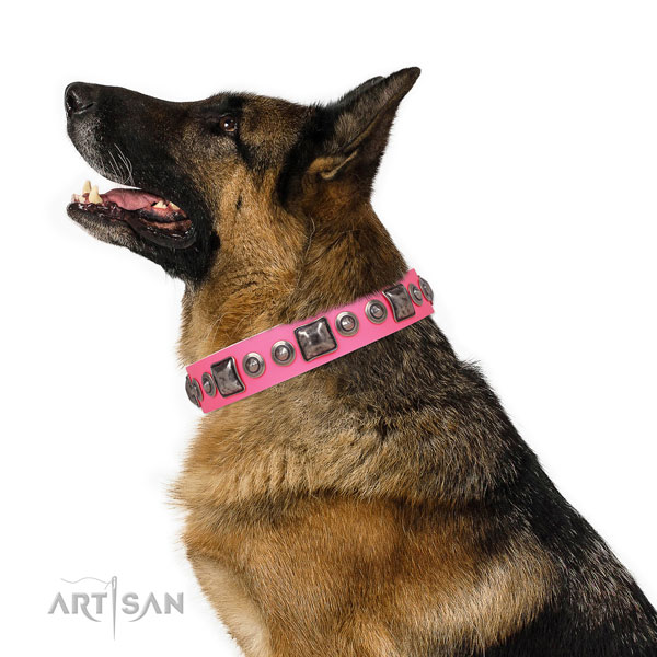 German Shepherd top notch natural genuine leather dog collar with decorations