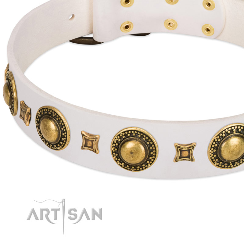 White leather dog collar with modern decorations