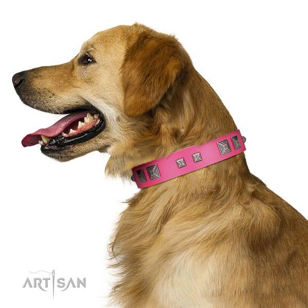 Extraordinary walking pink leather Golden Retriever collar with cool decorations