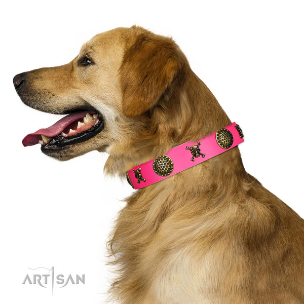 Top-notch quality leather Golden Retriever collar for comfortable walks