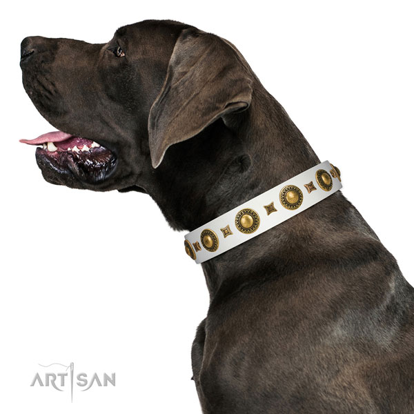 Comfortable to wear leather Great Dane collar