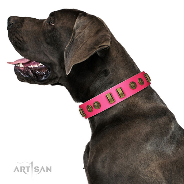 Great Dane everyday use dog collar of exquisite quality leather