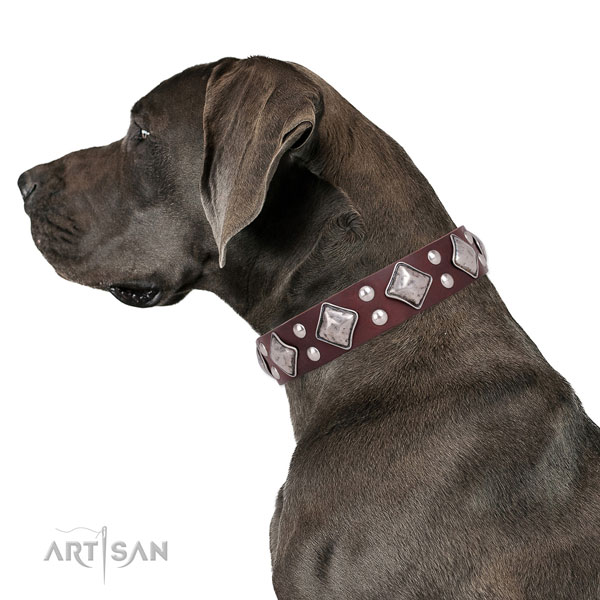 Great Dane inimitable full grain leather dog collar with embellishments