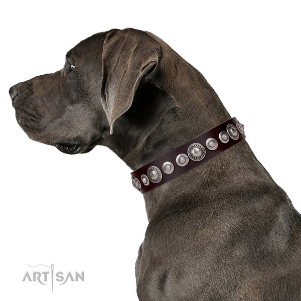 Great Dane adjustable genuine leather dog collar with decorations
