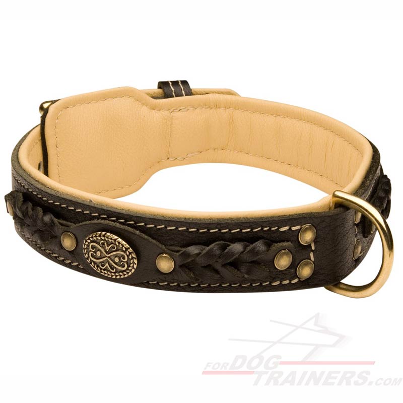 fancy leather dog collars
