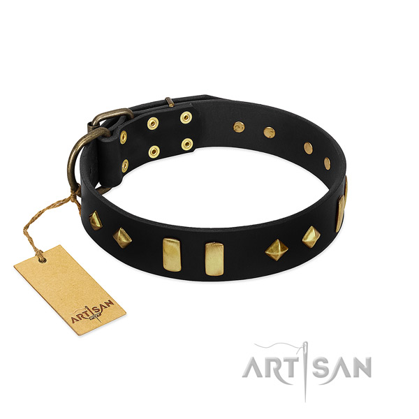 Exclusive FDT Artisan design leather dog collar for walking