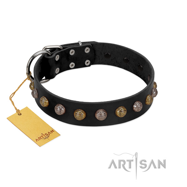 Exclusive FDT Artisan leather dog collar for walking