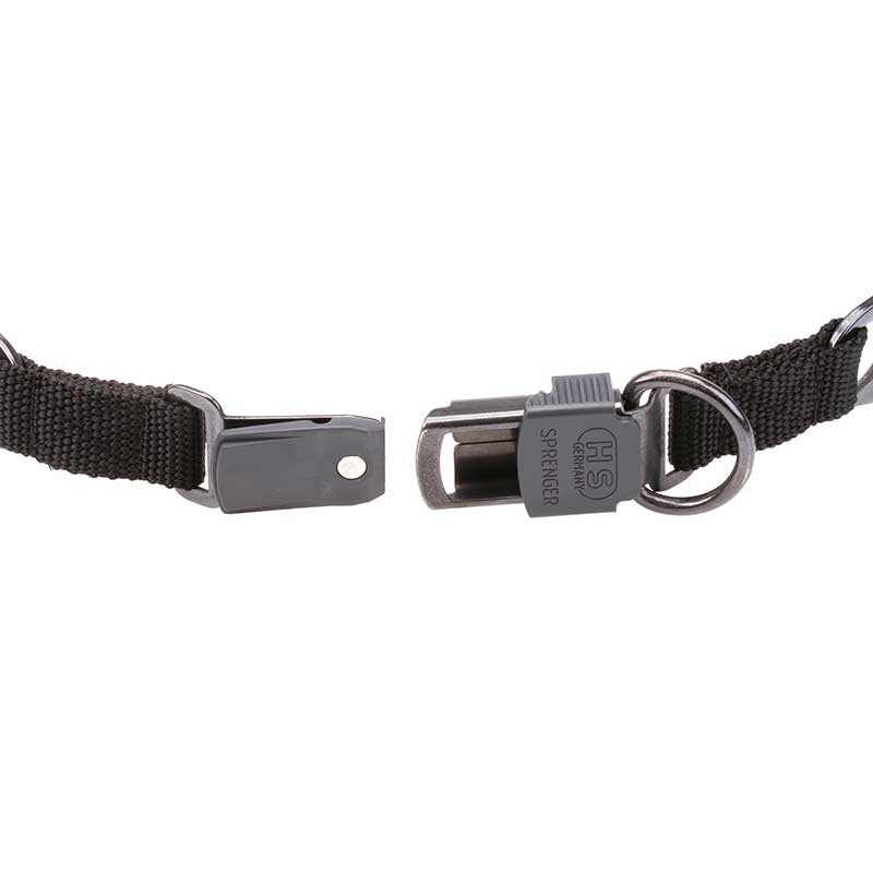 Dog Prong Collar with Click Lock Buckle