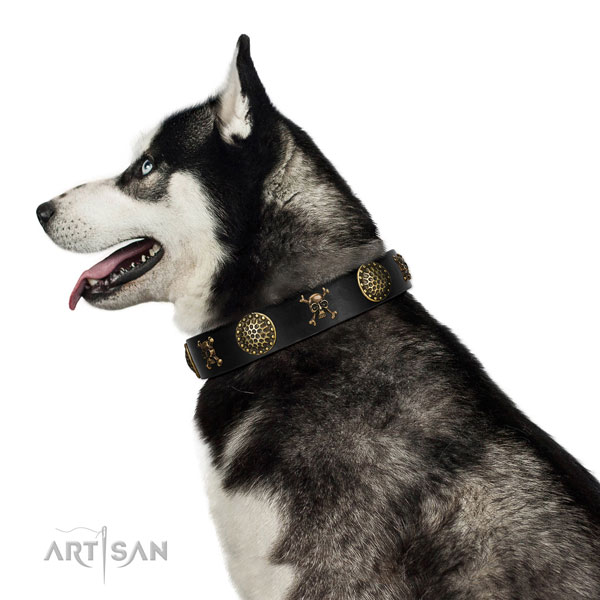 Extraordinary walking black leather Husky with decorations
