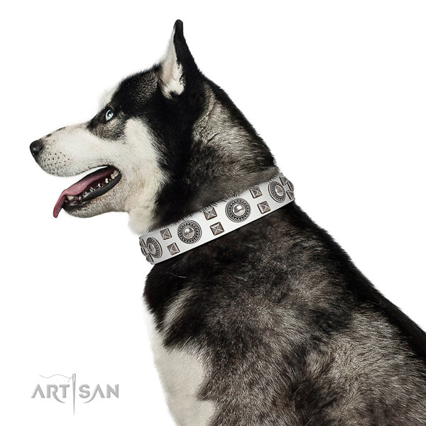 Handcrafted walking leather Bullmastiff collar