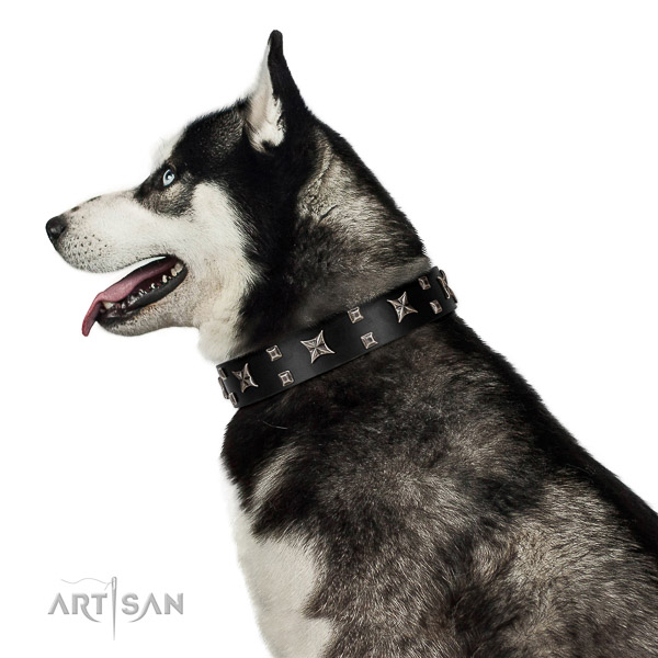 Elegant walking black leather Husky collar with fashionable decorations