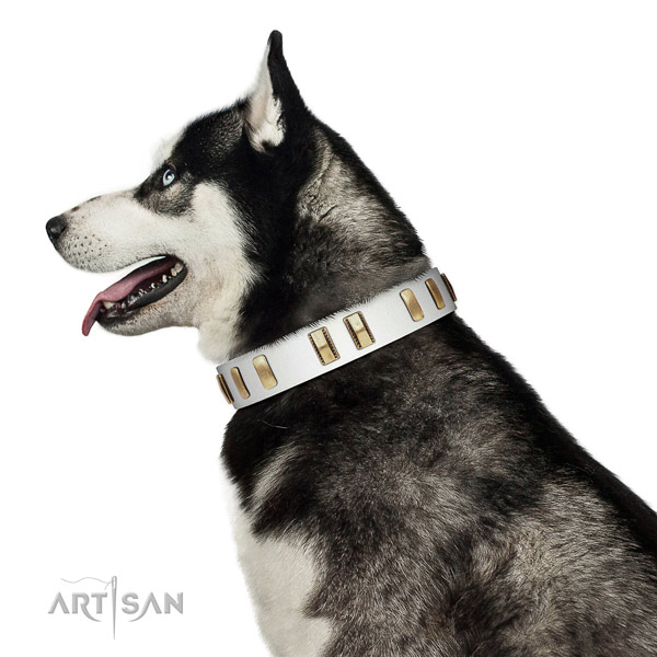 Gentle white leather Husky collar for pleasant walking