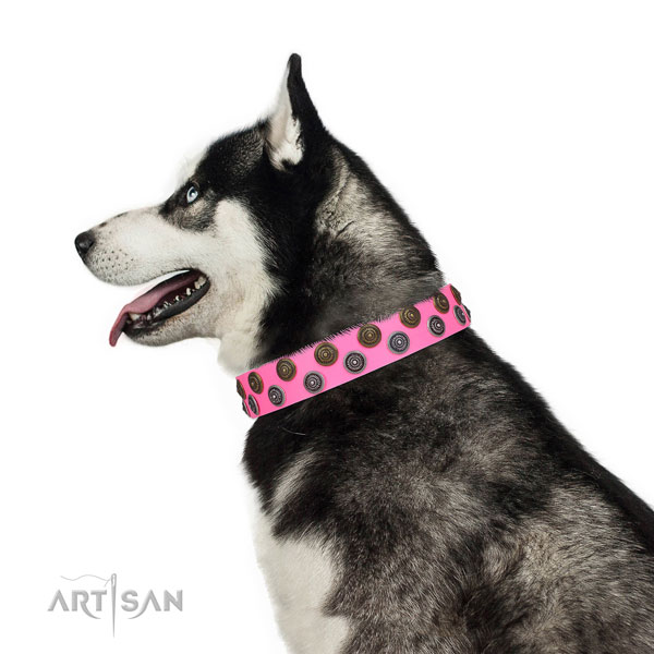 Husky inimitable leather dog collar with adornments