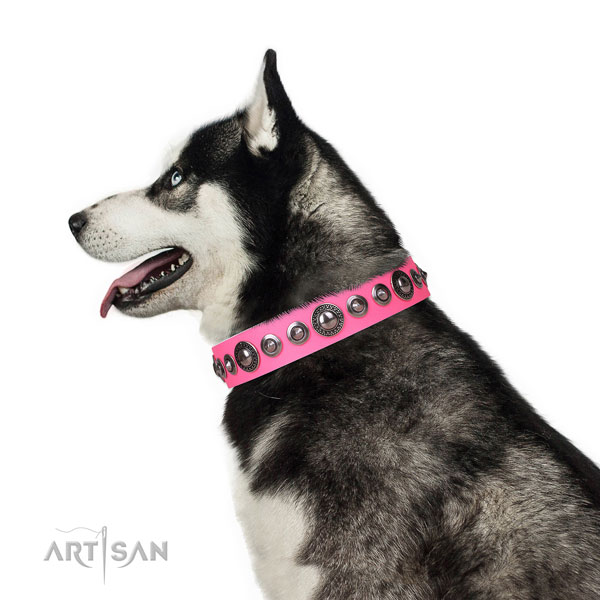 Husky amazing full grain natural leather dog collar with adornments