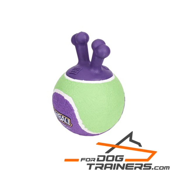 Top Notch Dog Toy