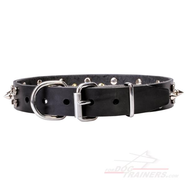 Leather Canine Collar with Chrome Plated Buckle