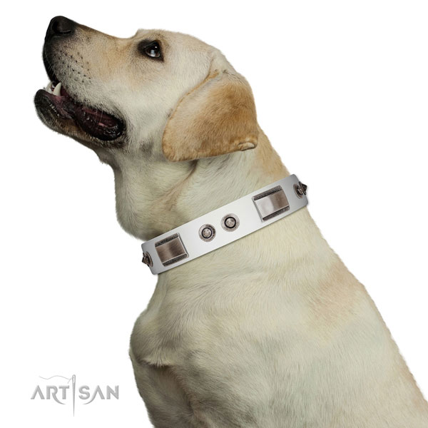 Comfortable leather Labrador collar of premium quality