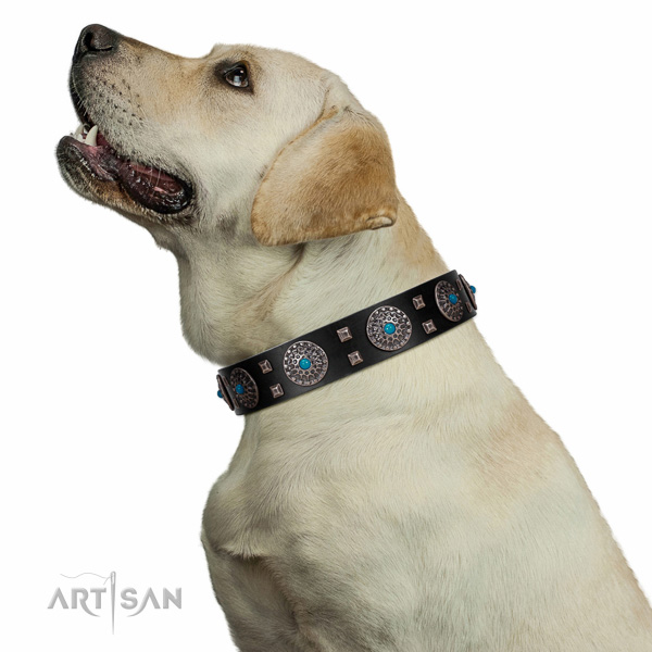 Exquisite style black leather Labrador collar