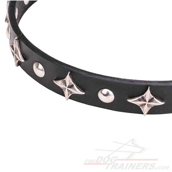 Designer Dog Collar with Chrome Plated Decorations